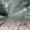 High Pressure Fog Machine