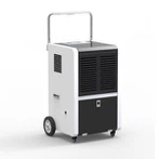Whole House Dehumidifier